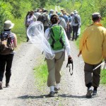 Bio Blitz swarming with nature lovers